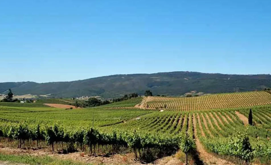 Gala de Abertura Cidade do Vinho 2025