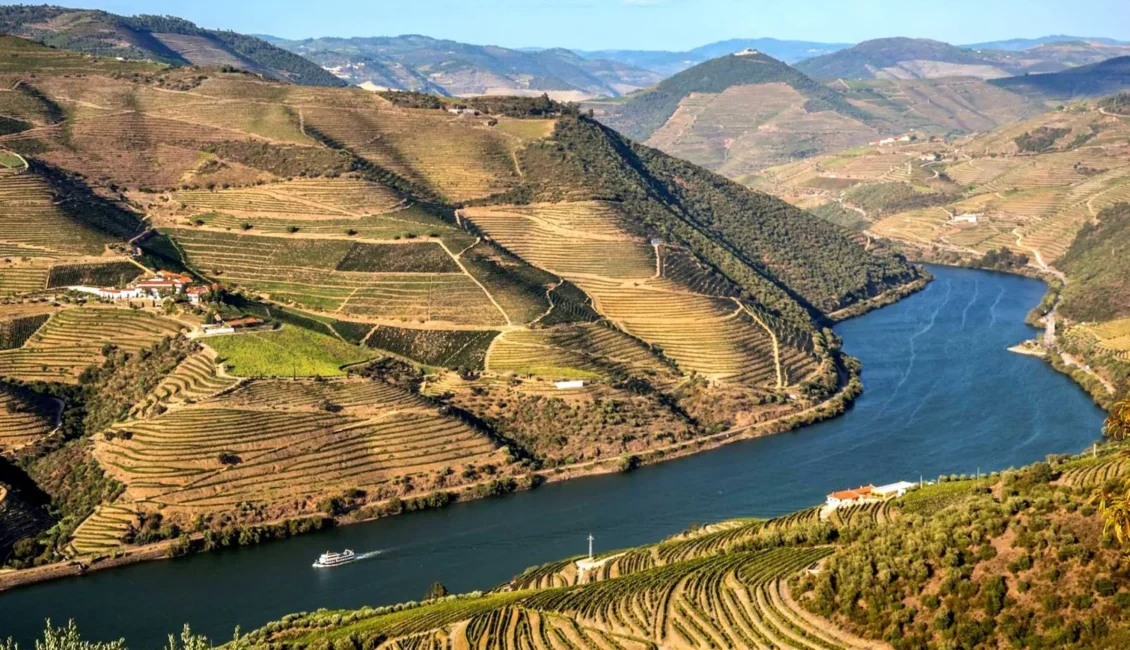 Fórum Regional AMPV – Região do Douro