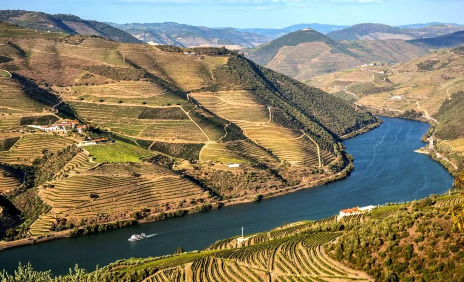 Fórum Regional AMPV – Região do Douro