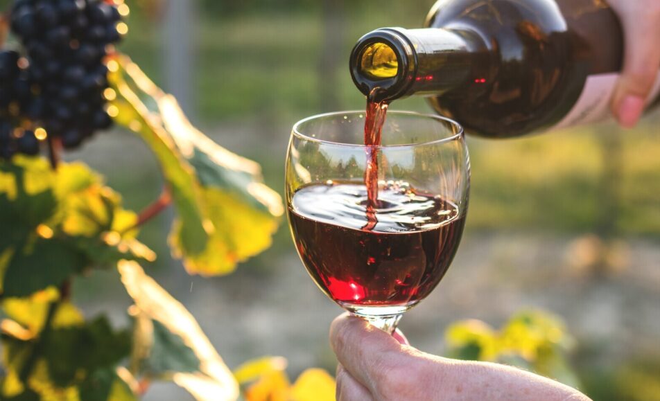 Mostra Gastronómica “Festa da Vinha e do Vinho”