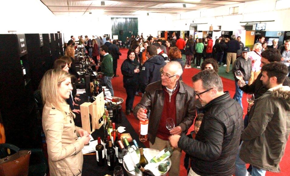 Vidigueira Vinho