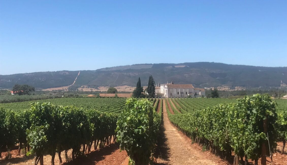Passeio Pedestre – Memórias de Montes Claros Passeio Pedestre – Memórias de Montes Claros
