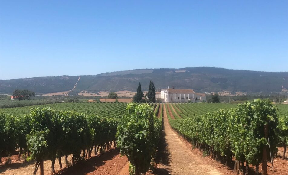Passeio Pedestre – Memórias de Montes Claros