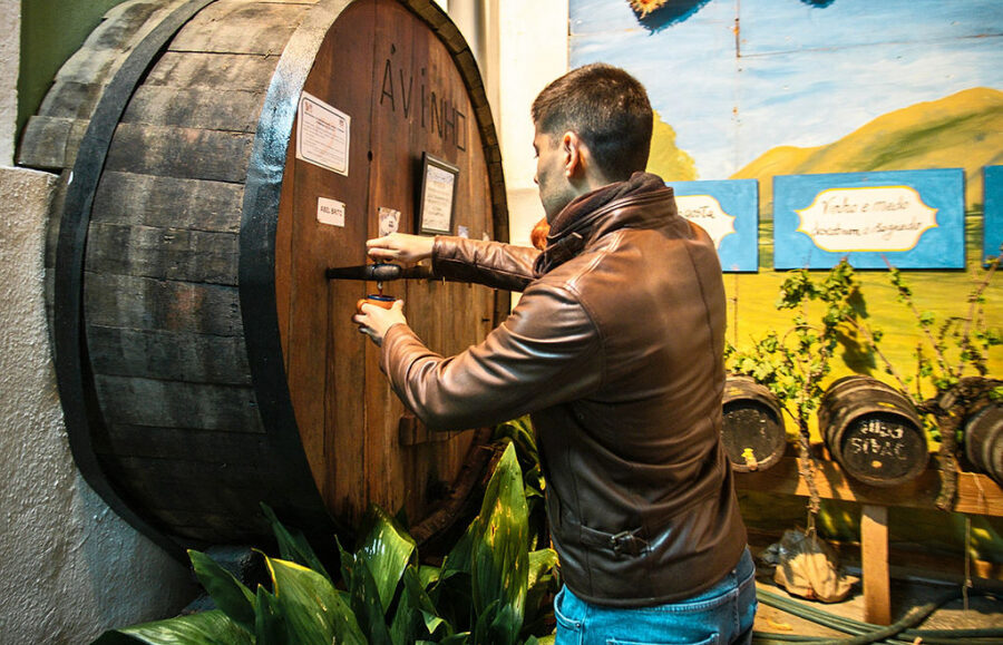 Ávinho 2026 – Festa do Vinho e das Adegas
