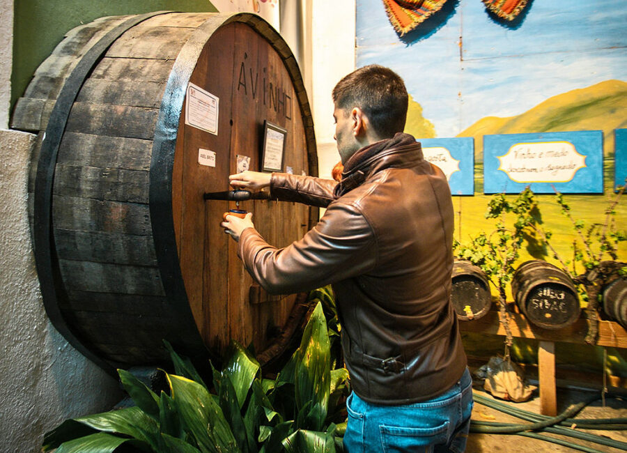Ávinho 2026 – Festa do Vinho e das Adegas