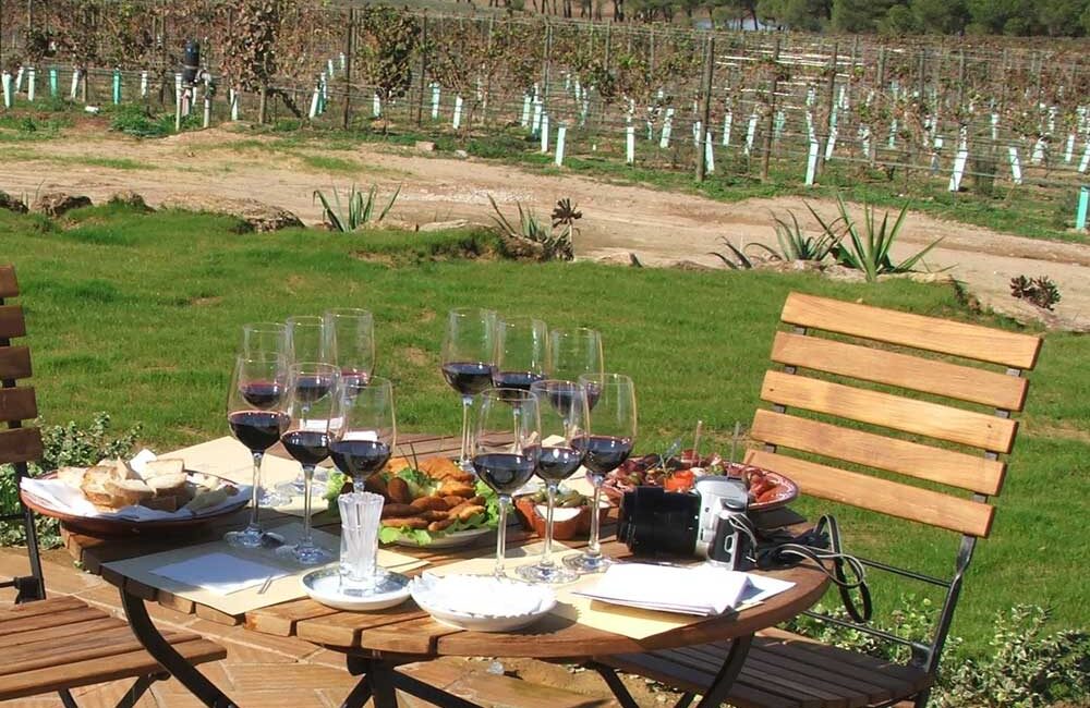 Abertura da Cidade Europeia do Vinho 2026
