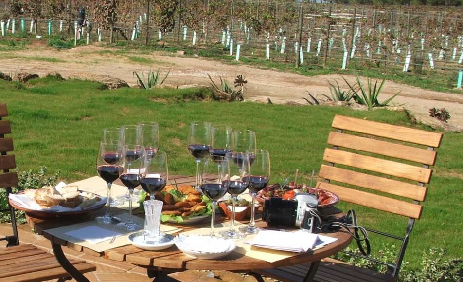 Abertura da Cidade Europeia do Vinho 2026