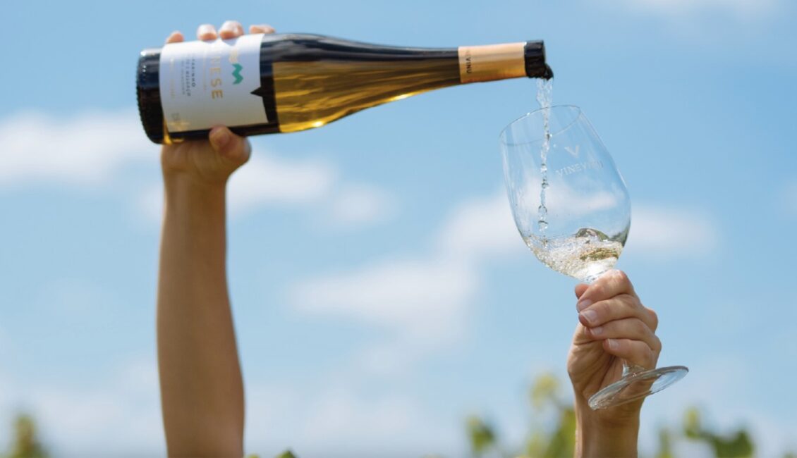 Prova Comentada de vinhos do produtor VineVinu Prova Comentada de vinhos do produtor VineVinu
