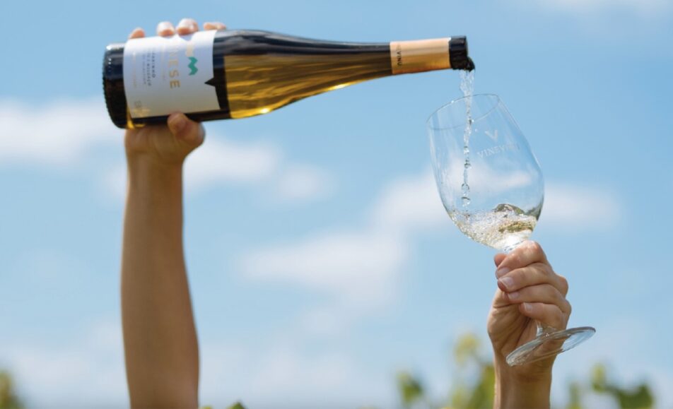 Prova Comentada de vinhos do produtor VineVinu