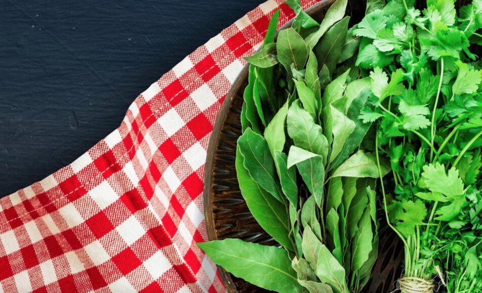 Festival Gastronómico “As Ervas Alimentares e Aromáticas”
