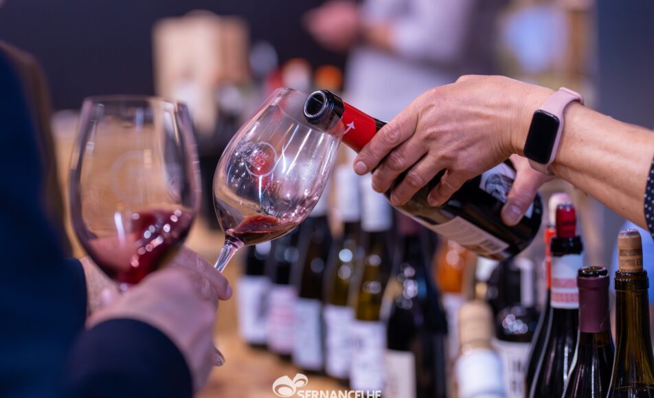 Momentos com Vinho