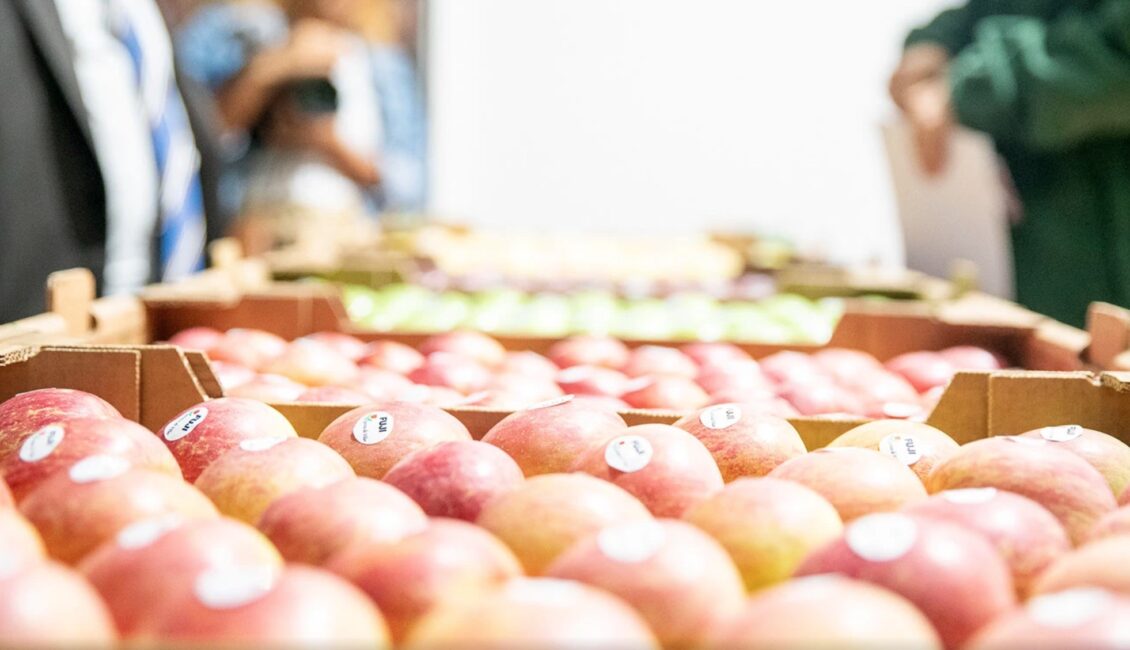 Feira da Maçã