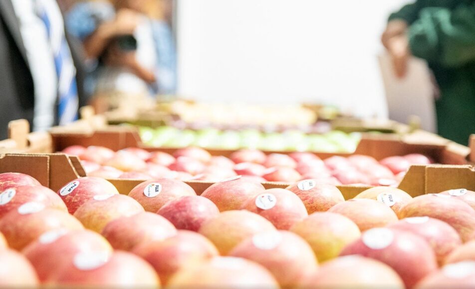 Feira da Maçã